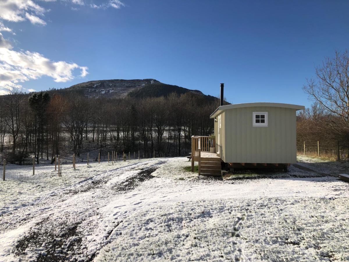 Rosemary Shepherds Hut, Clay Bank Huts Ingleby Greenhow ภายนอก รูปภาพ