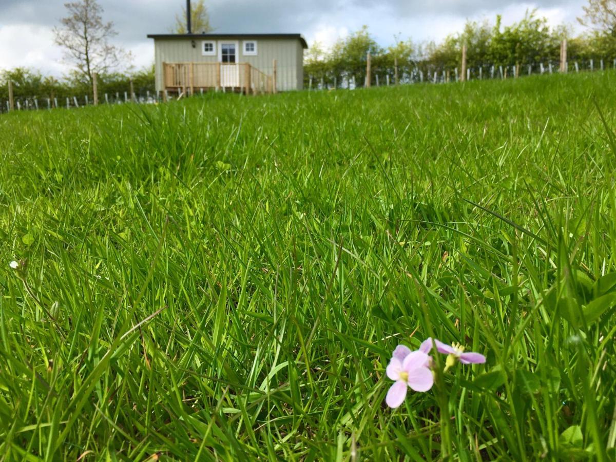 Rosemary Shepherds Hut, Clay Bank Huts Ingleby Greenhow ภายนอก รูปภาพ